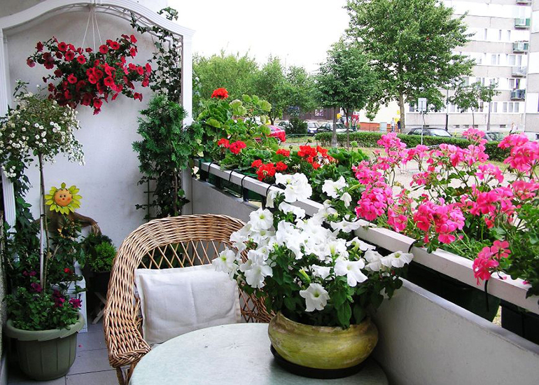 Ai mușcate în balcon la bloc. Riști amenzi de 1.500 lei dacă nu respecți aceste reguli